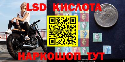 стафф Усть-Илимск
