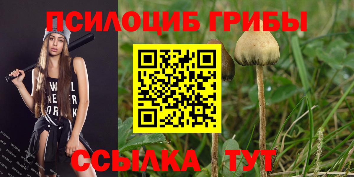 Псилоцибиновые грибы GOLDEN TEACHER Асбест